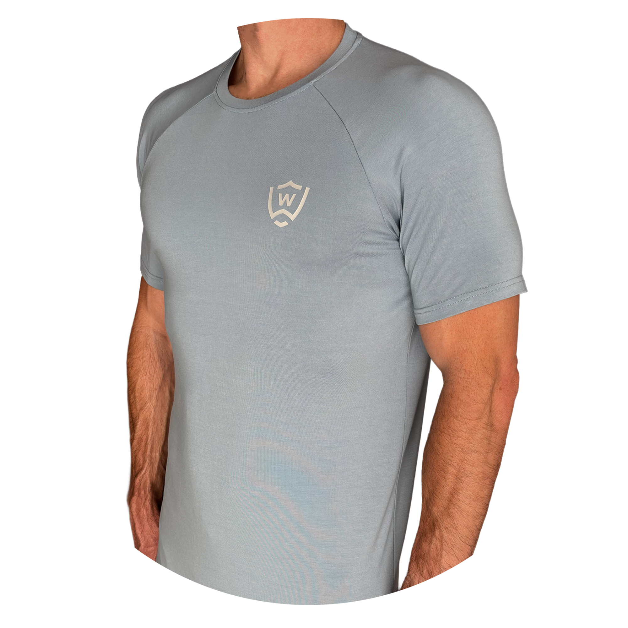 Men's WorkWard t-shirt - Blue